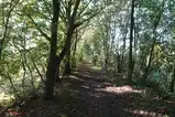 A leaf-covered path running straight through a tunnel of trees, with low sun shining through the leaves and dappled light on the ground